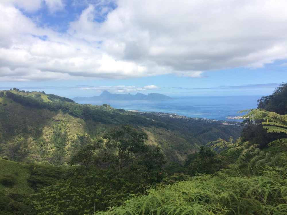 10 choses à faire lors de ton passage à Tahiti, en Polynésie française - upaupatahiti