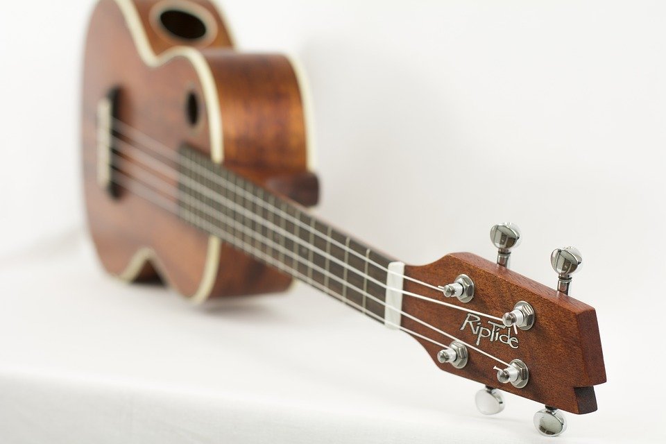 Julia Nunes and the ukulele - upaupatahiti